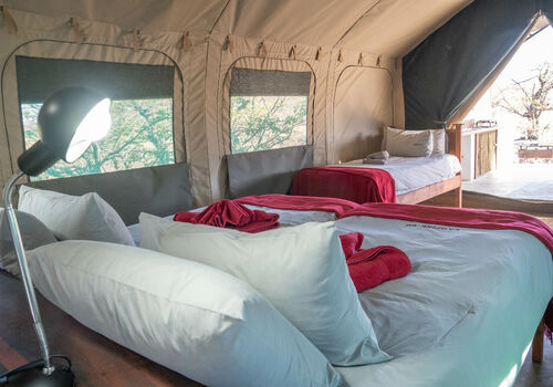 Fully furnished Safari Tent