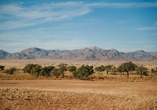 The Namib