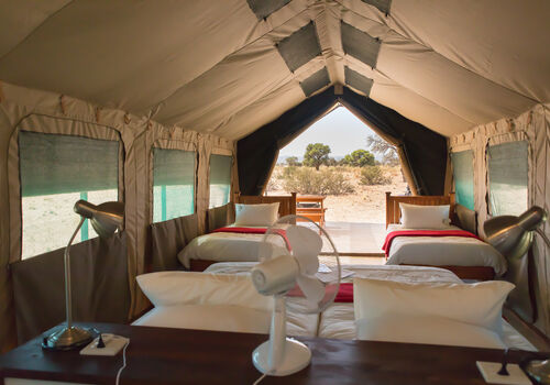 Fulle furnished Safari Tent